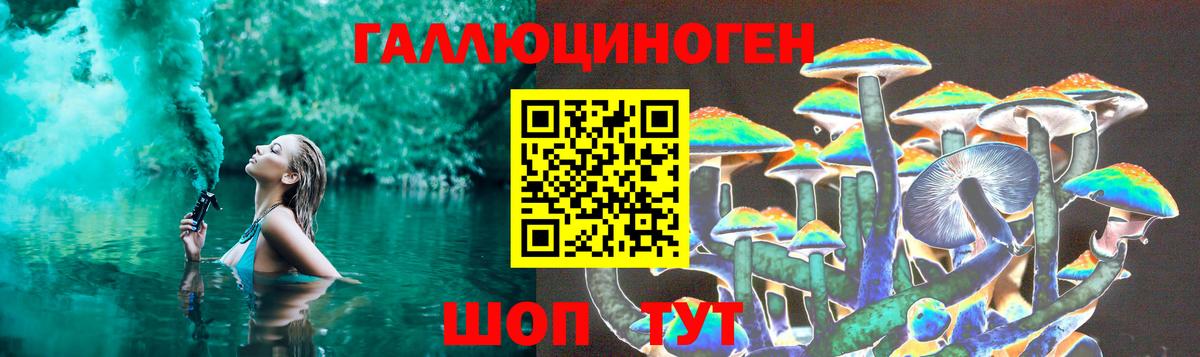 Галлюциногенные грибы Psilocybe Туапсе